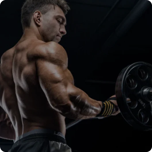 Become a Distributor